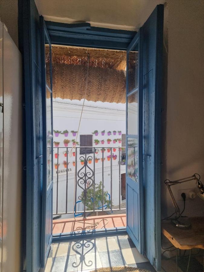 Appartement Casa Vera *