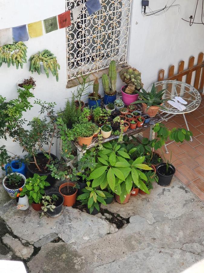 Casa Vera Vejer de la Frontera
